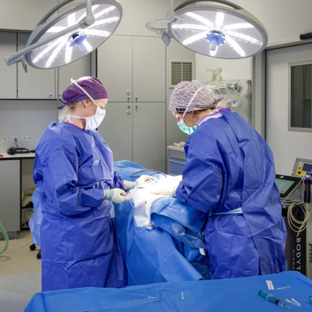 Chirurgie