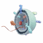 Exosome