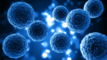 Exosomes pour la peau