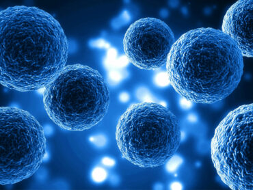 Exosomes for the skin